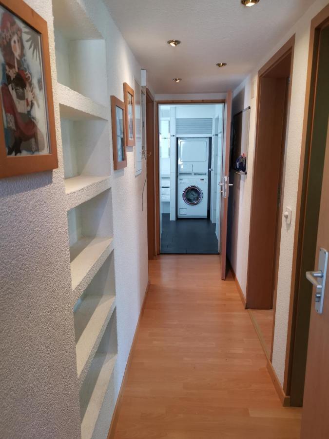 Ferienwohnungen Im Fuerstenland ゴッサウ エクステリア 写真