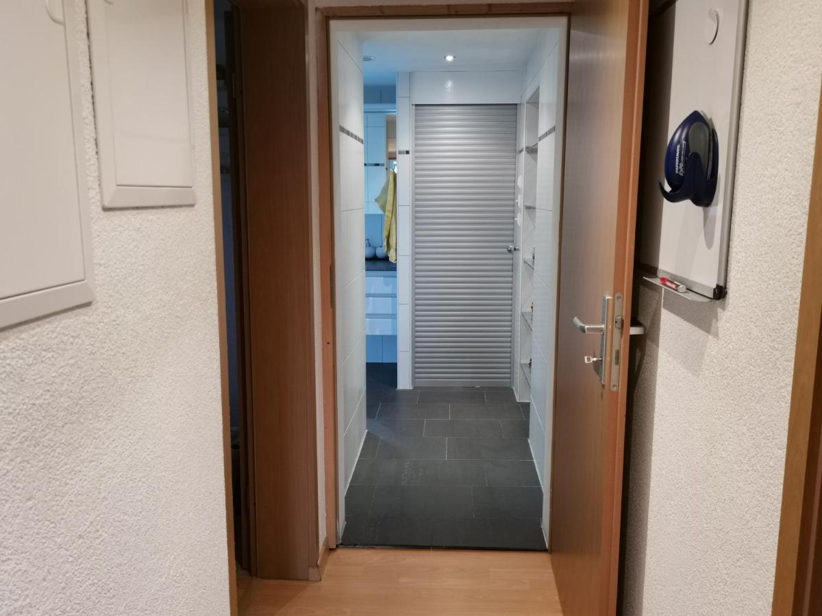 Ferienwohnungen Im Fuerstenland ゴッサウ エクステリア 写真